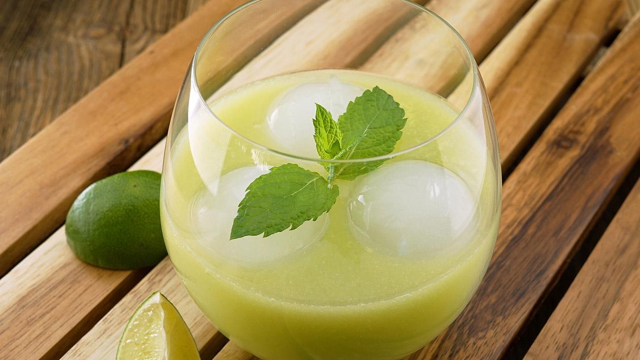 Avocado Chill Avocado Chill