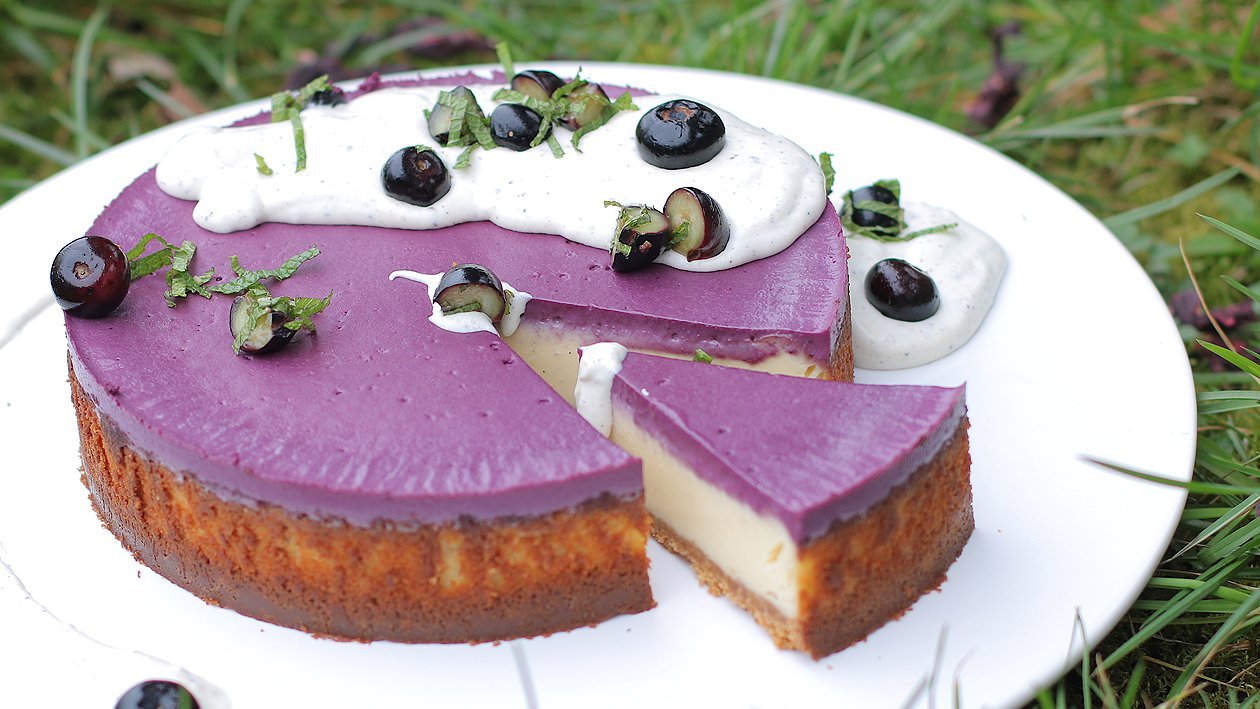 Blaubeer-Cheescake mit Mohncreme Blaubeer-Cheescake mit Mohncreme