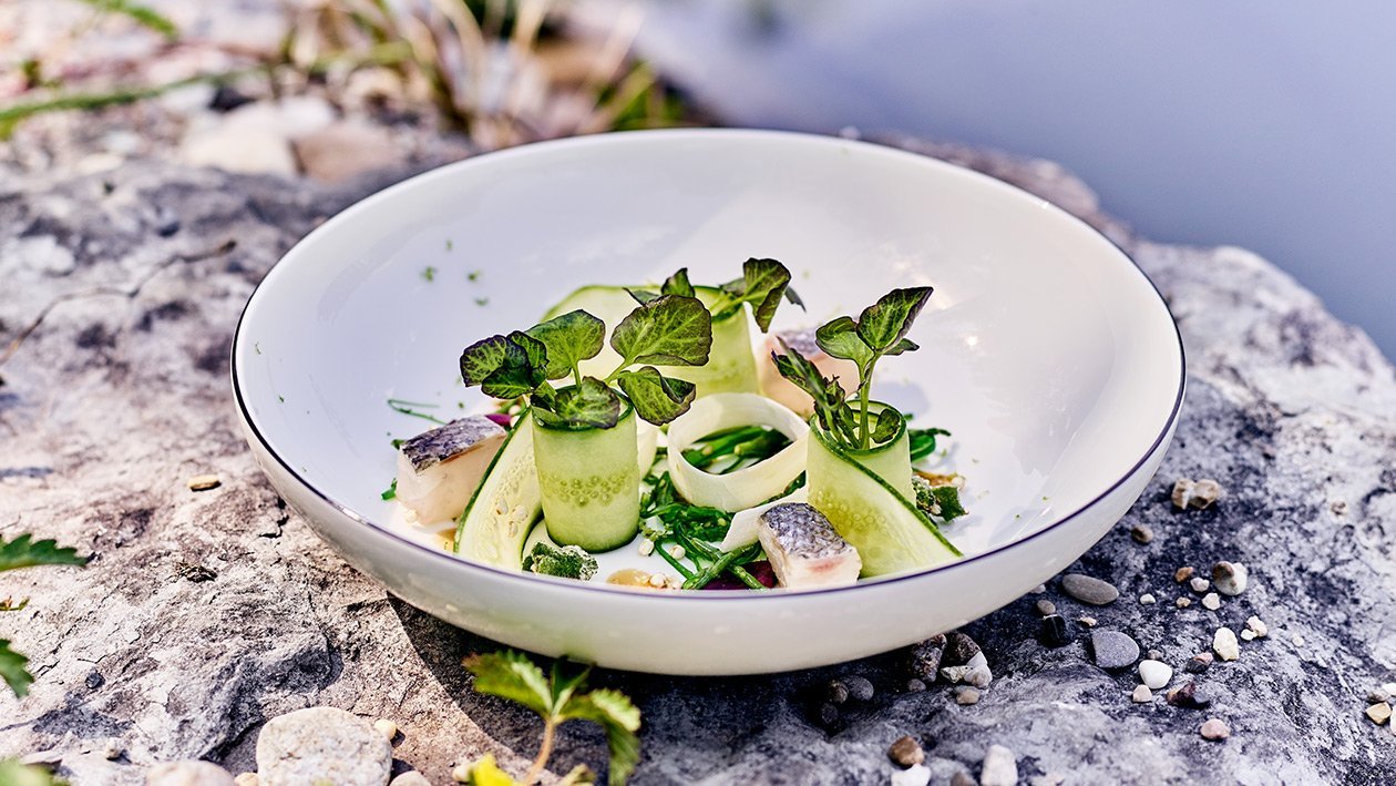 Ceviche vom Wolfsbarsch mit Salat von Algen und Quinoa in Sesam-Sojaemulsion Ceviche vom Wolfsbarsch mit Salat von Algen und Quinoa in Sesam-Sojaemulsion