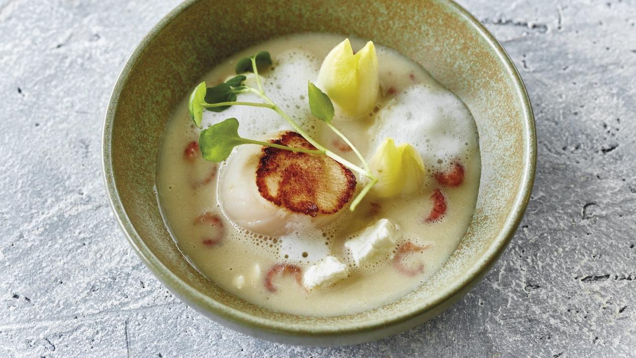 Chicorée-Suppe mit Jakobsmuscheln und Krabben Chicorée-Suppe mit Jakobsmuscheln und Krabben