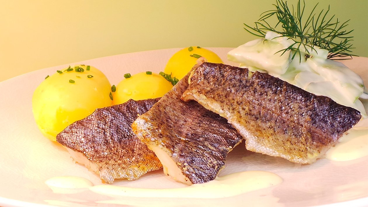 Forelle in Senfsauce mit Kartoffeln und Gurkensalat Forelle in Senfsauce mit Kartoffeln und Gurkensalat