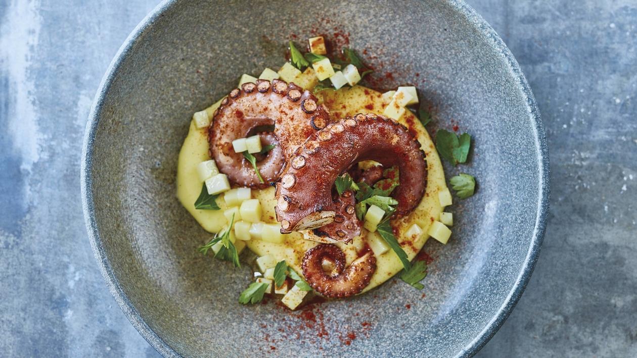 Gebratener Octopus mit Kartoffelmousseline und Petersilie Gebratener Octopus mit Kartoffelmousseline und Petersilie