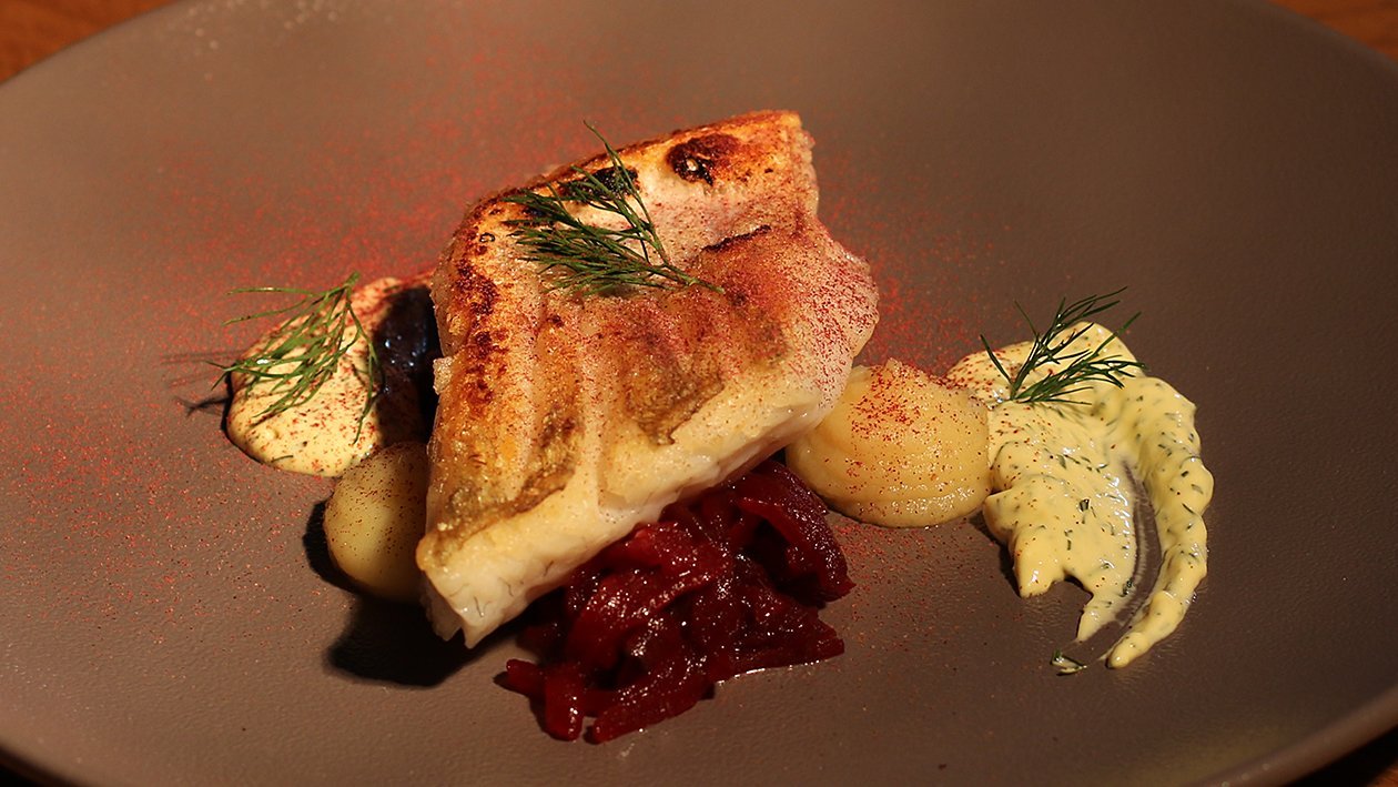 Gebratener Zander auf Pastinaken Püree Rote Beete mit Dill Hollandaise Gebratener Zander auf Pastinaken Püree Rote Beete mit Dill Hollandaise