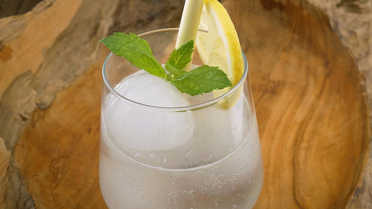 Gin Rickey Gin Rickey