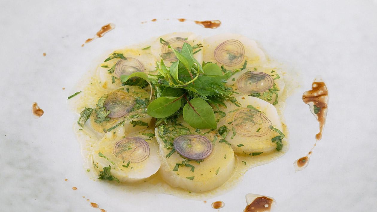 Jakobsmuschel Ceviche mit Thai-Marinade Jakobsmuschel Ceviche mit Thai-Marinade