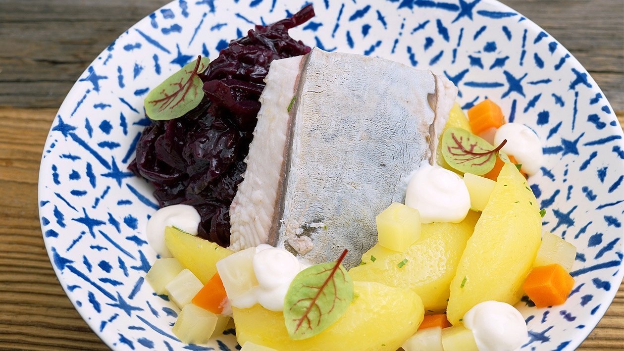 Karpfen "Blau" mit Apfel-Meerrettich, Rotkraut und Petersilienkartoffeln Karpfen "Blau" mit Apfel-Meerrettich, Rotkraut und Petersilienkartoffeln