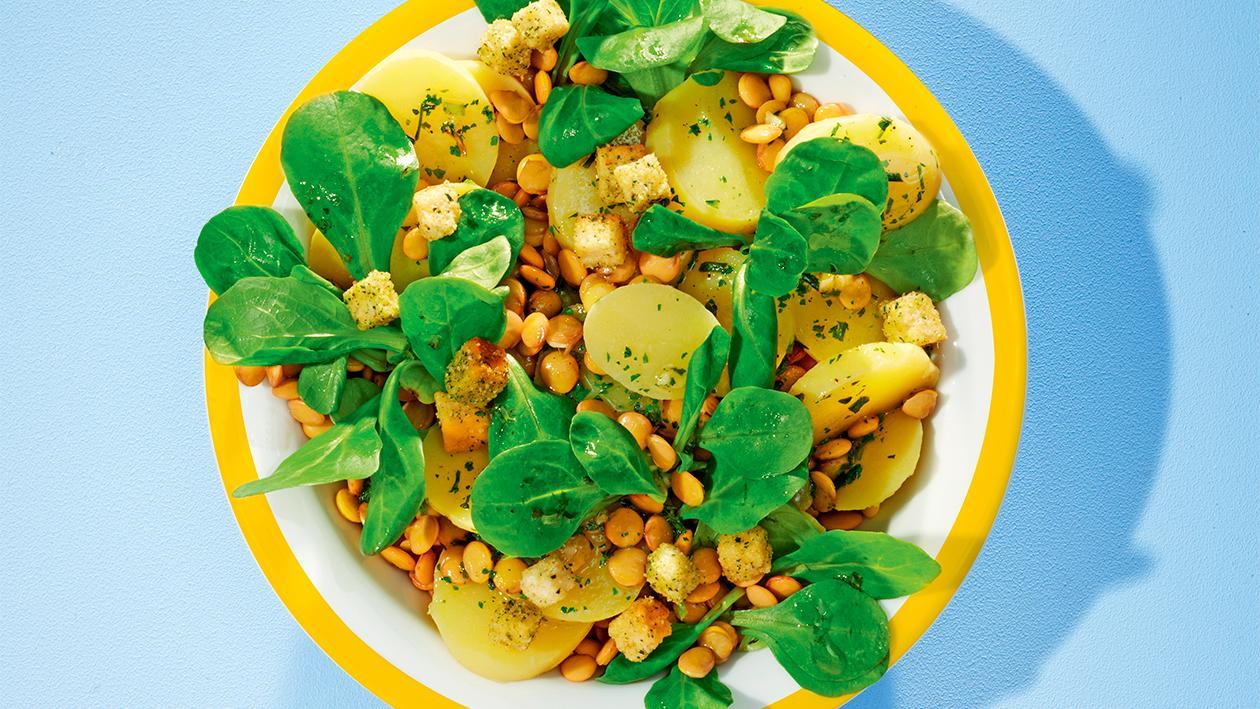 Kartoffel-Linsen-Salat Kartoffel-Linsen-Salat