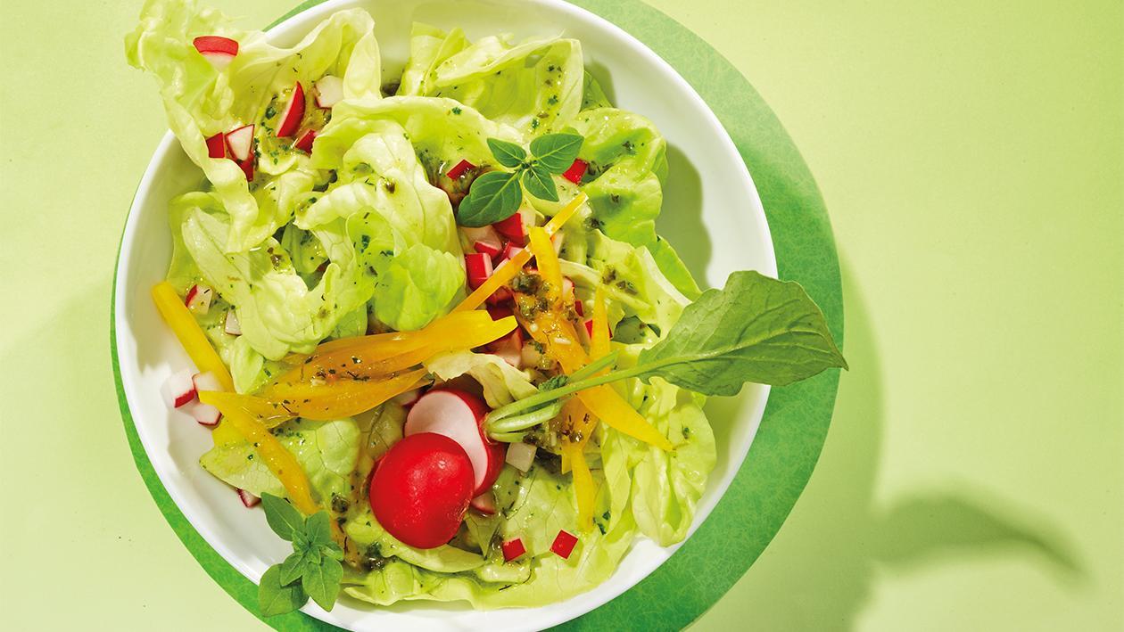 Kopfsalat mit Pesto-Kräuterdressing Kopfsalat mit Pesto-Kräuterdressing