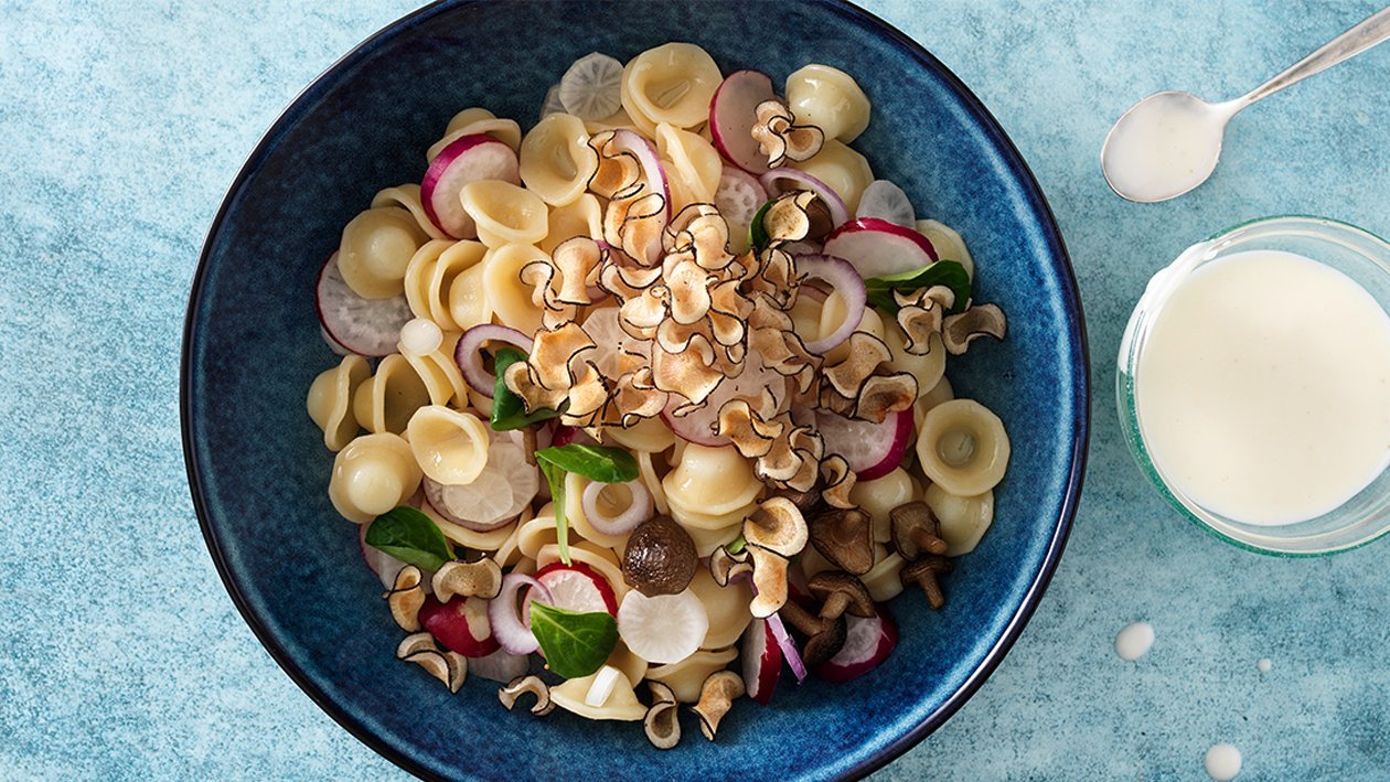 Orecchiette-Salat mit Radieschen, Pilzen und Rettich Orecchiette-Salat mit Radieschen, Pilzen und Rettich