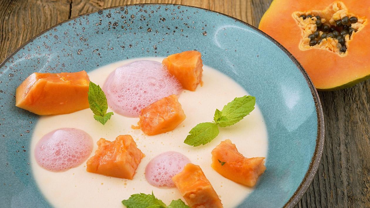 Papaya Kokosnuss Panna Cotta Papaya Kokosnuss Panna Cotta