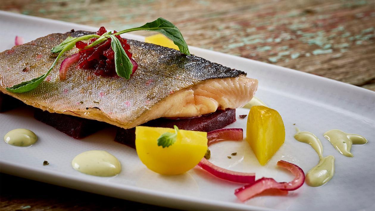 Saiblingsfilet mit eingelegten Beeten Saiblingsfilet mit eingelegten Beeten