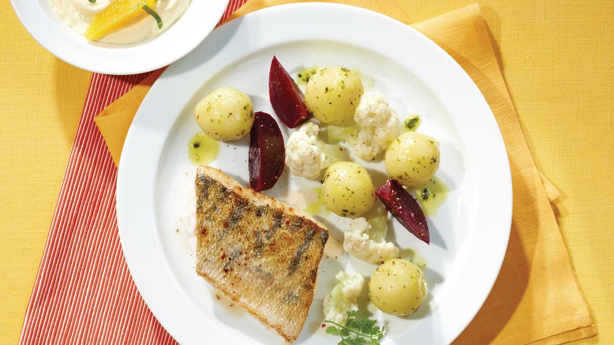 Zander auf der Haut gebraten mit Rote-Bete-Blumenkohl-Gemüse und Mini-Knödeln Zander auf der Haut gebraten mit Rote-Bete-Blumenkohl-Gemüse und Mini-Knödeln
