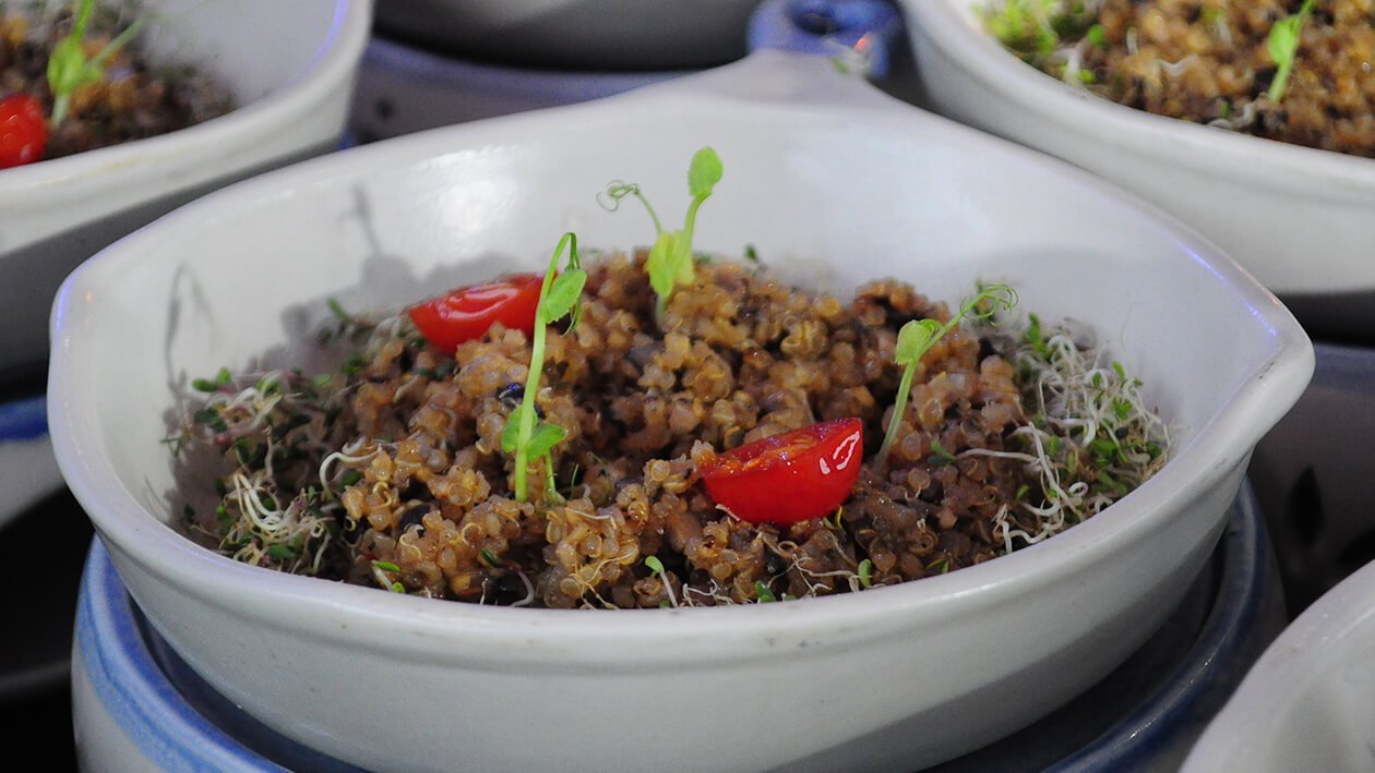 Funlasang Pinoy Twistfest 2018 Luzon Winner: Toasted Quinoa Vegan Sisig Funlasang Pinoy Twistfest 2018 Luzon Winner: Toasted Quinoa Vegan Sisig