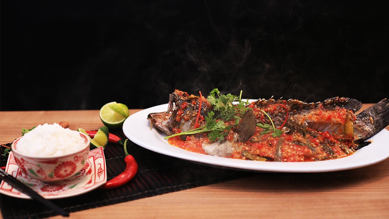 Jiang Zheng Talapia Jiang Zheng Talapia