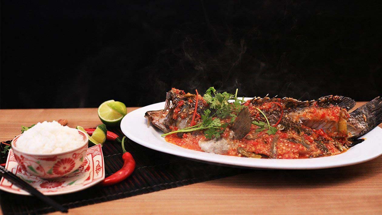 Jiang Zheng Talapia Jiang Zheng Talapia
