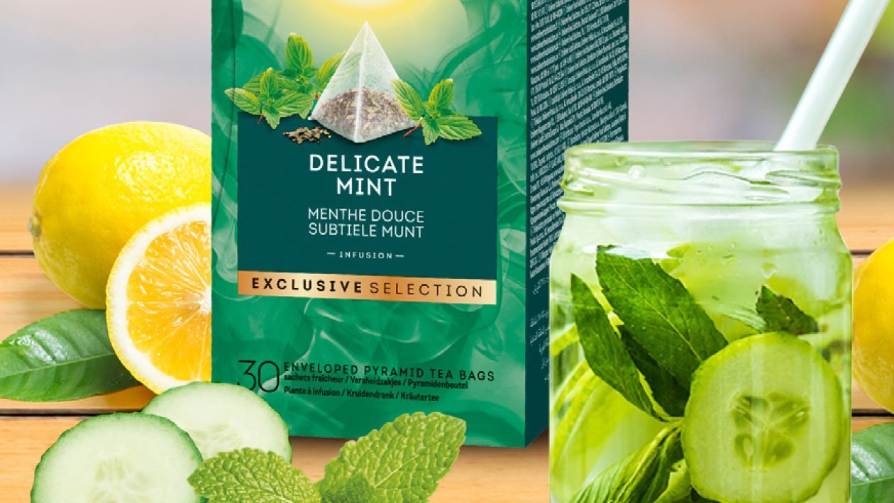 Infusión helada de menta con pimienta - Té Gama selección exclusiva Infusión helada de menta con pimienta - Té Gama selección exclusiva