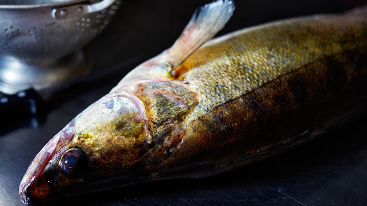 Farce de poisson – Recette Farce de poisson – Recette