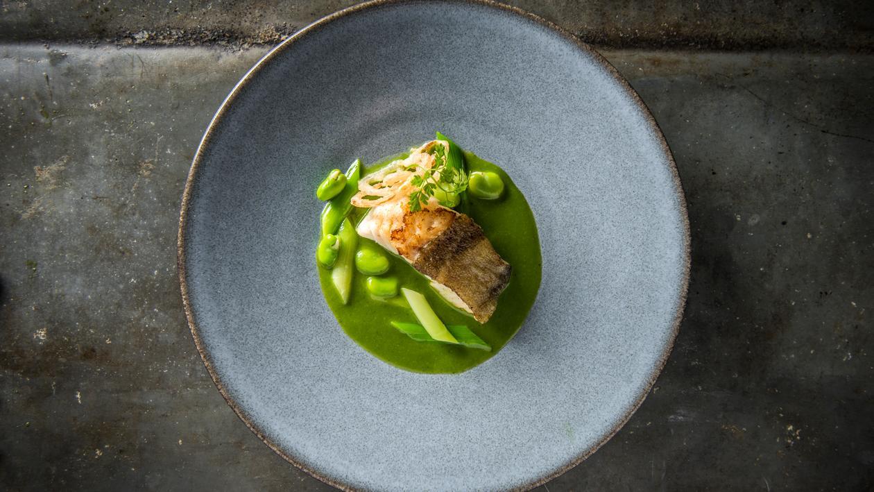 Filets de cabillaud et chlorophylle de persil – Recette Filets de cabillaud et chlorophylle de persil – Recette