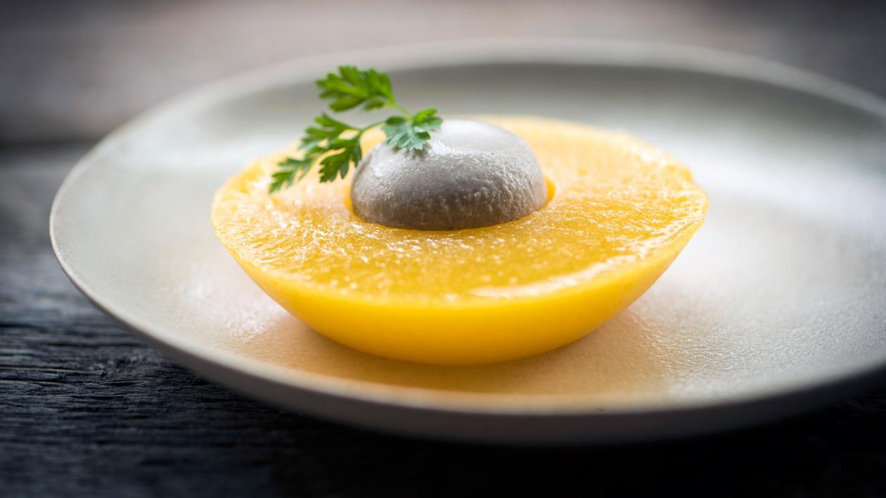 Pêche au thon – Recette Pêche au thon – Recette