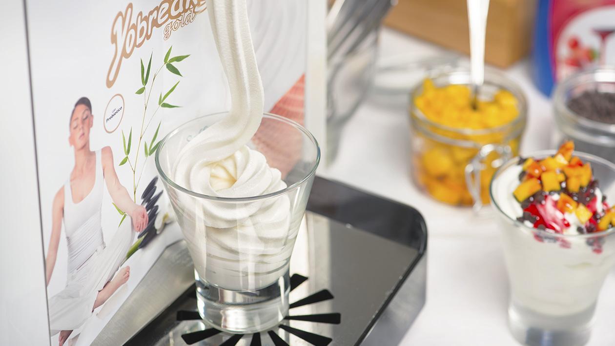 Gelato al fior di latte con gocce di cioccolato e frutta esotica – Ricetta Gelato al fior di latte con gocce di cioccolato e frutta esotica – Ricetta