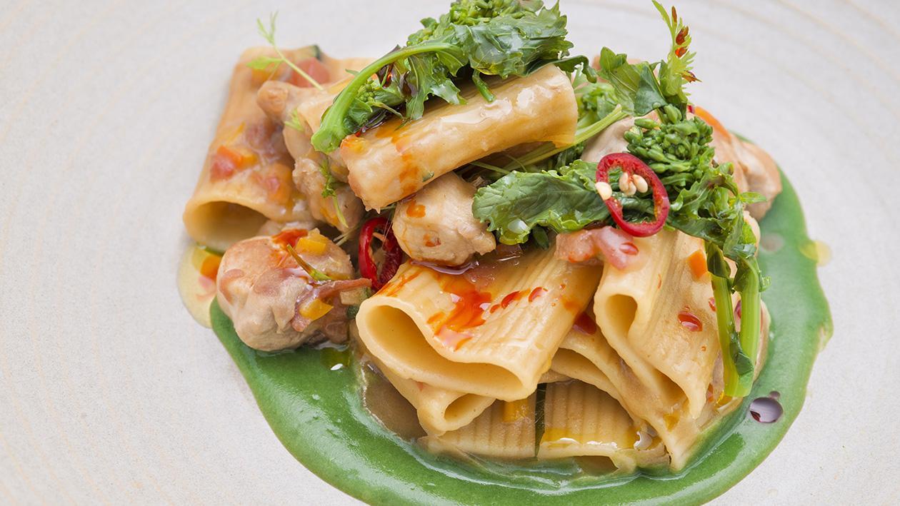 Rigatoni con crema di broccoli e bocconcini di coniglio all'olio piccante – Ricetta Rigatoni con crema di broccoli e bocconcini di coniglio all'olio piccante – Ricetta
