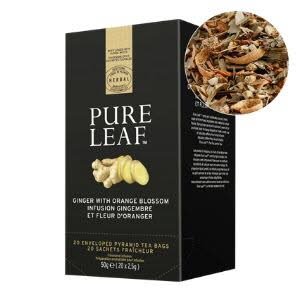 Pure Leaf Ginger Orange Blossom - 20 zakjes -