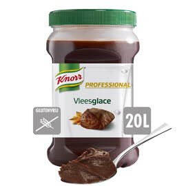 Knorr Professional Vleesglace 20L -