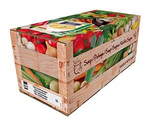 Knorr 100% Chicken Tikka Soup 2,4L -