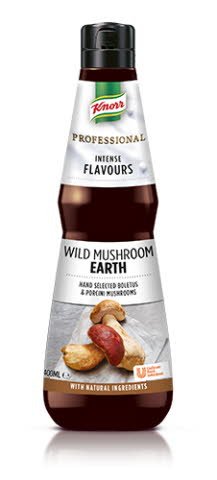 Knorr Professional Wild Mushroom Earth -