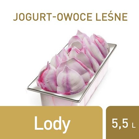 Lody Jogurt-owoce leśne Carte d'Or -
