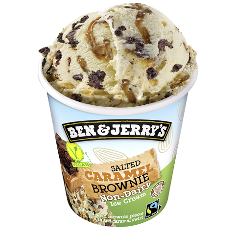 BEN & JERRY´S Non-Dairy Salted Caramel Brownie 465 ml - 