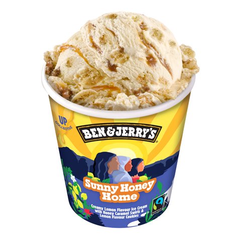 Ben & Jerry's Sunny Honey Home 465 ml - 