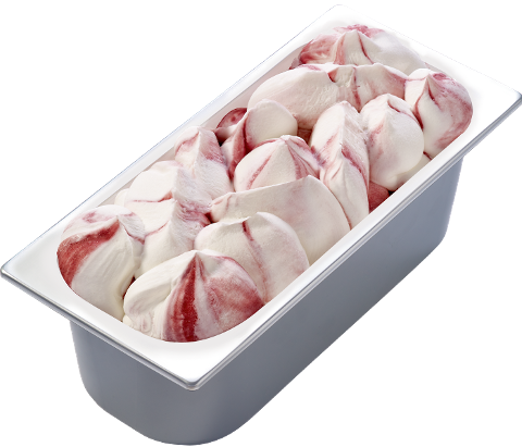 CARTE D'OR Gelateria Joghurt Waldfrucht 5.5 l - 