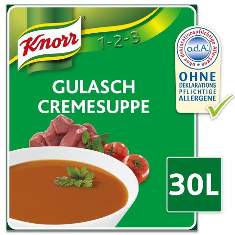 Knorr Professional Gulasch Suppe 2,7 kg - 