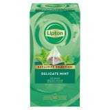 Lipton Delicate Mint 28 g - 
