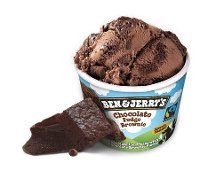 Ben & Jerry Chocolate Fudge Brownie