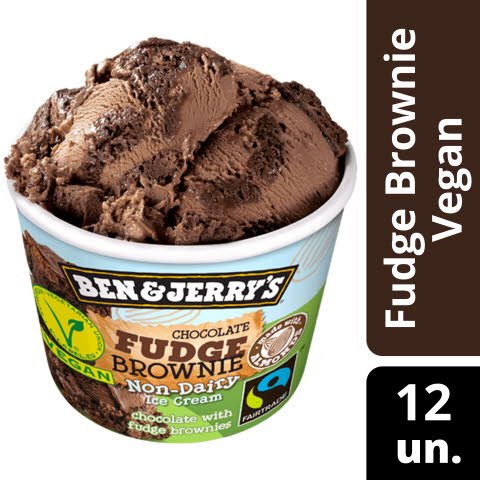 Ben & Jerry Fudge Brownie Non Dairy -
