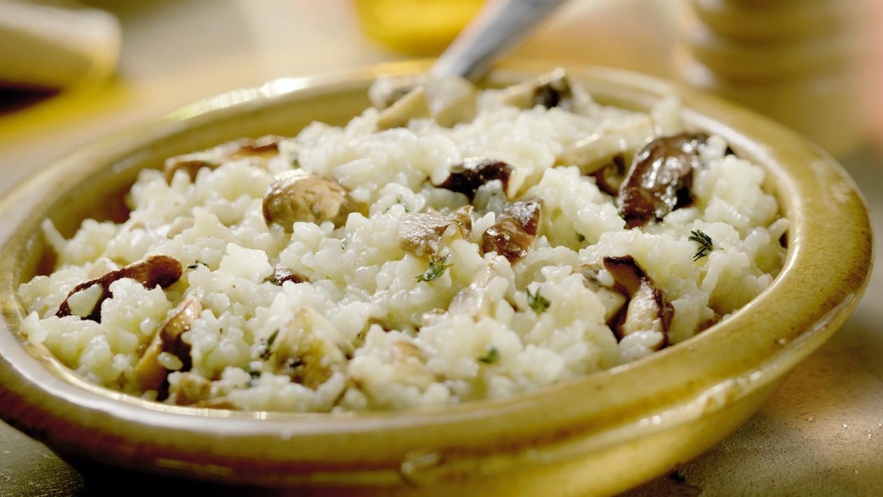 Risotto de Cogumelos